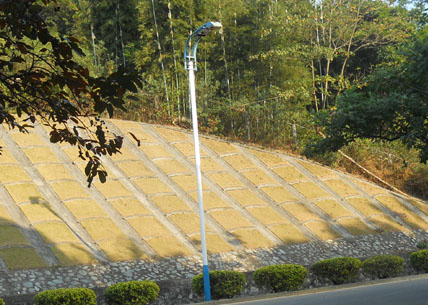 8米路灯杆 �?50W高压钠灯